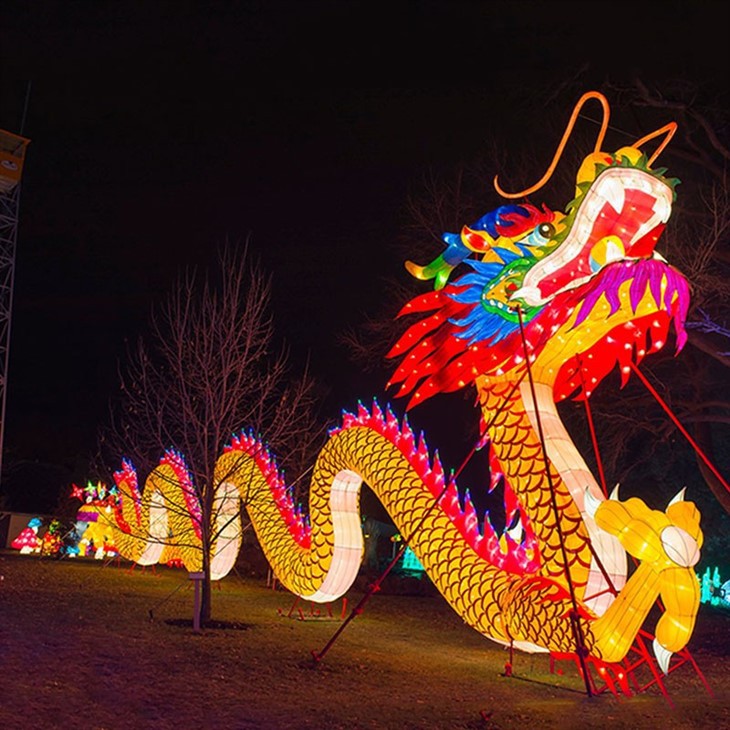 Customized Chinese Lanterns Chinese New Year Giant Dragon
